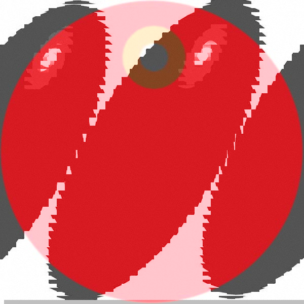 Blank Tag: Red, Vinyl